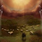 Black Sheep A3