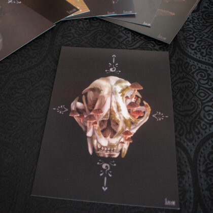 Cat Skull – Tirage limité A5