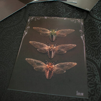 Cicadas – Tirage limité A5
