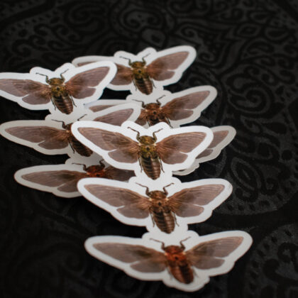 Sticker – “Cicadas”