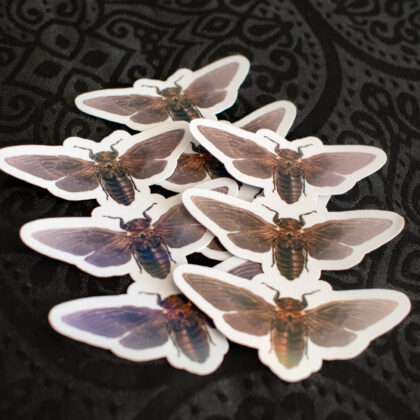 Sticker Holographique – “Cicadas”