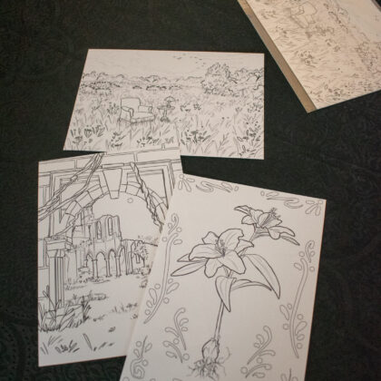 Pack 3 Coloriages