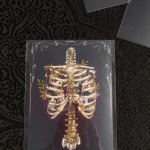 Print A6 – “Floral Ribcage”