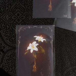 Print A6 – “Lys”