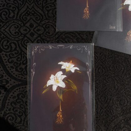 Print A6 – “Lys”