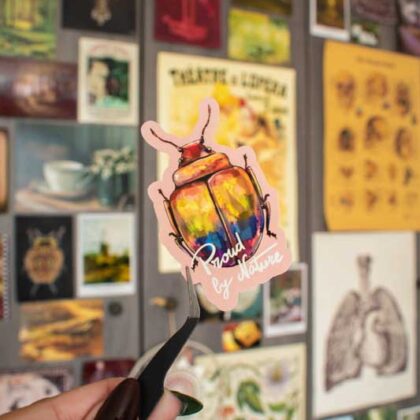 Sticker - "Pride Bugs"
