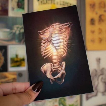 Carte postale - "Ribcage Light"