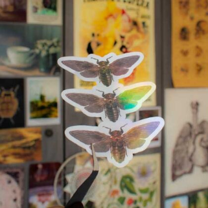 Sticker holographique - “Cicadas”