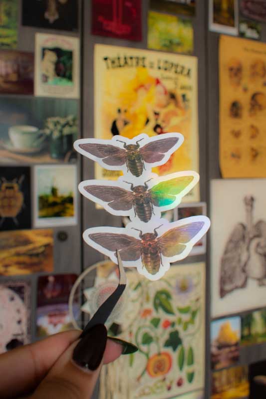 Sticker holographique - “Cicadas”