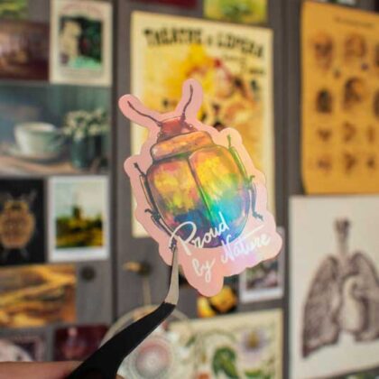 Sticker holographique - "Pride Bugs"