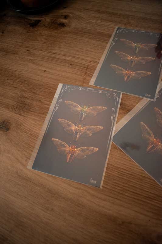 Print A6 - “Cicadas”