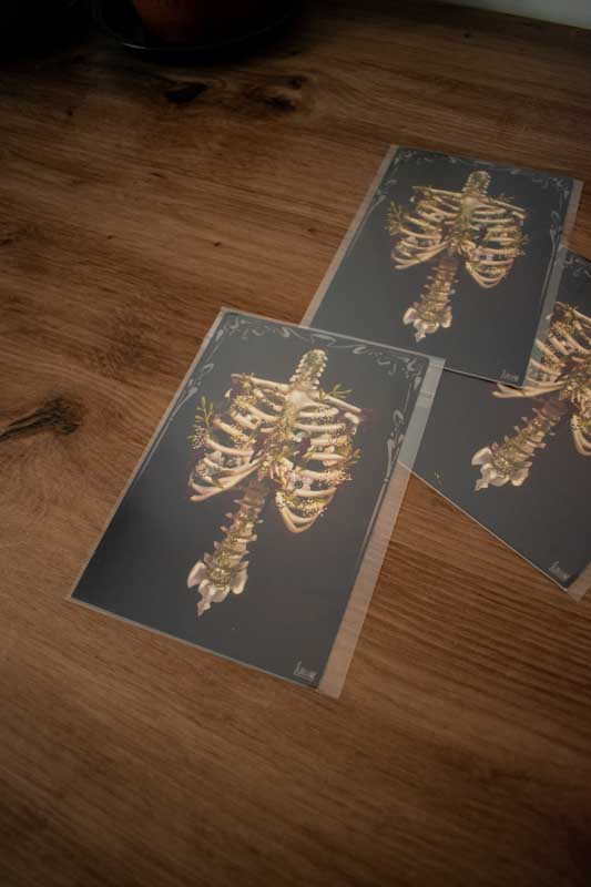 Print A6 - “Floral Ribcage”