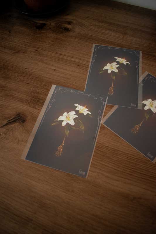 Print A6 - “Lys”